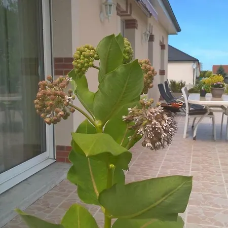 Bed & Breakfast L'escapade 3*